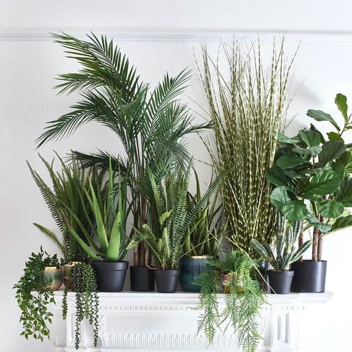 The Best Faux Plants – Part 2 | Leslie Karen