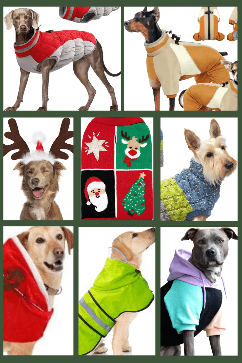 Holiday Gift Guide – Pet Ideas | Leslie Karen