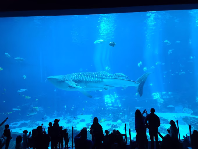 The Best Holiday Date Nights in (and Around) Atlanta 2025