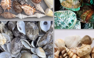 Shell Yeah: The Coastal Chic Trend Giving Me Life Right Now