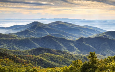 4 Quick Getaways to Take Before Fall: Nashville, Charleston, Savannah and Asheville